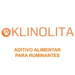 KLINOLITA